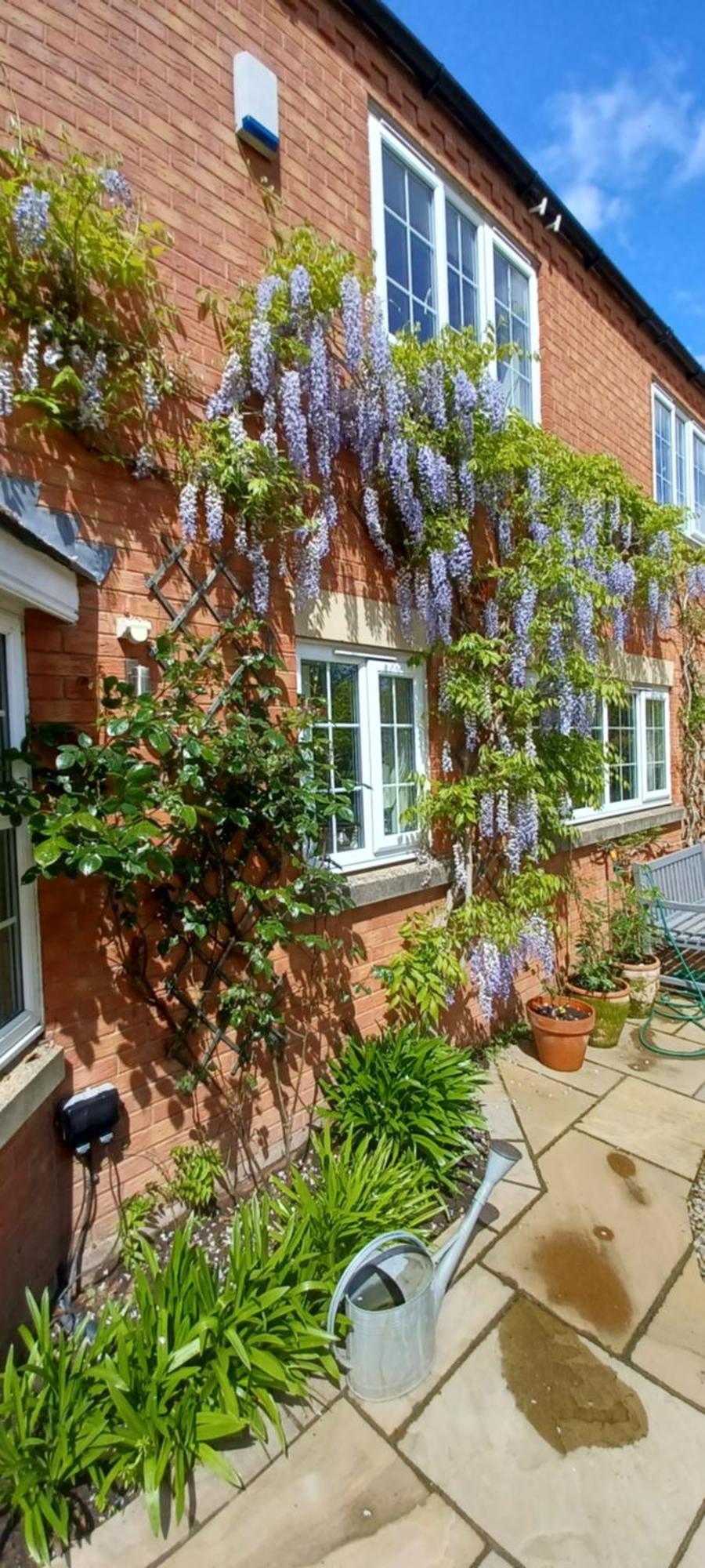 Harlequin B&B Ledbury Exterior photo